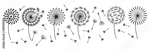 hand drawn blowball vector illustration