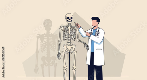 Medical Professional Explaining Anatomical Skeleton, Medical Illustration for Education