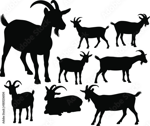 Goat silhouette set, farm animal poses, black vector illustration, standing and lying motion, horn shape variation, livestock design