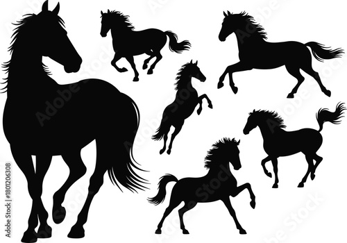 Horse silhouette set, dynamic motion poses, black vector illustration, galloping and rearing stance, equine anatomy, graceful movement design