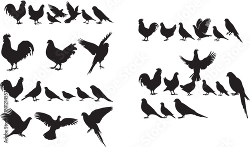 Black bird silhouettes various species birds rooster