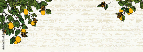 Asiatischer Zitrusbaum Zweige mit gelben Früchten und grünen Blättern auf hellem Hintergrund.