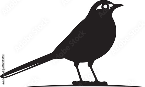Silhouette of a Bird Nature Concept
