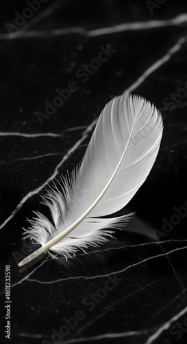 A delicate white feather resting on a dark, marbled surface creating a striking contrast and emphasizing its fine details and soft texture