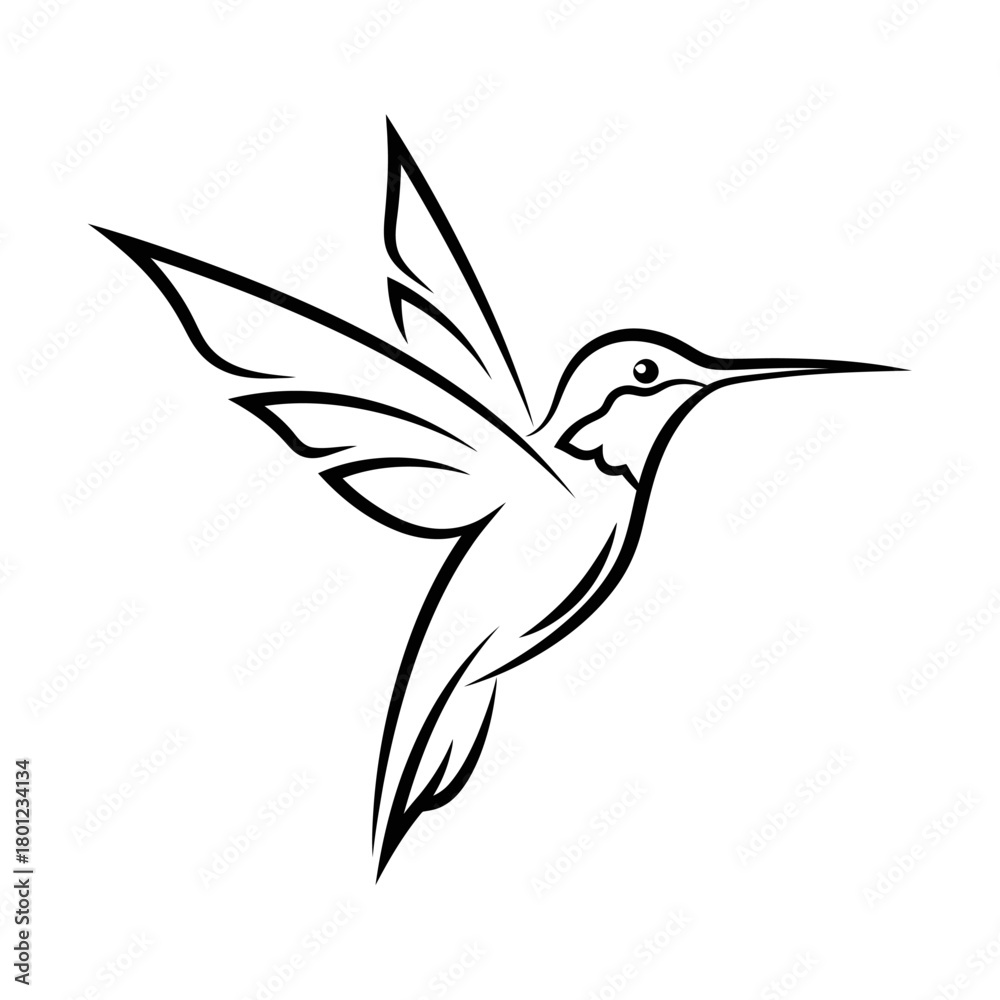 Obraz premium Hummingbird line art vector drawing minimalist design bird illustration flying animal tattoo stencil outline