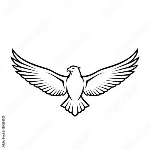 Eagle wings spread vector illustration, bird of prey drawing, american bald eagle outline design art