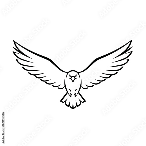 Eagle vector graphic design flying bird illustration hawk falcon outline clip art animal predatory bird art
