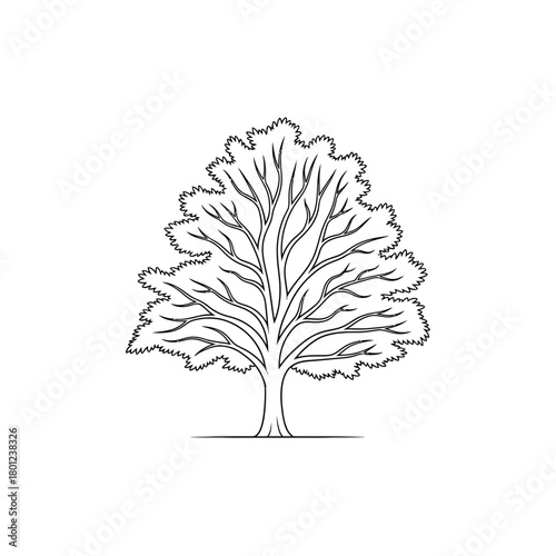 Tree outline illustration for coloring page nature drawing simple tree graphic design vector art image