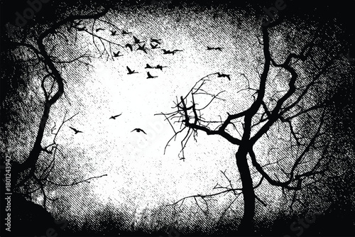 Silhouette of bare trees with flying birds. Gothic style black and white illustration	