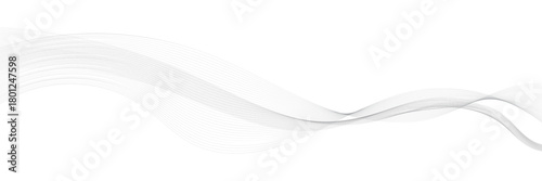 Soft flowing white abstract wave background. Gentle translucent white waves creating a smooth, flowing abstract design, perfect for clean layouts, modern graphics, and minimalistic backgrounds.

