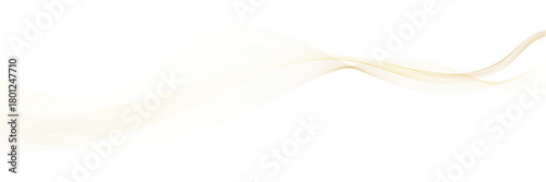 Soft flowing white abstract wave background. Gentle translucent white waves creating a smooth, flowing abstract design, perfect for clean layouts, modern graphics, and minimalistic backgrounds.

