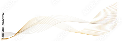 Soft flowing white abstract wave background. Gentle translucent white waves creating a smooth, flowing abstract design, perfect for clean layouts, modern graphics, and minimalistic backgrounds.

