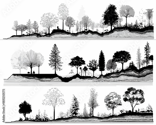 Ilustración vectorial de un paisaje forestal con diferentes tipos de árboles en blanco y negro, ideal para diseño.