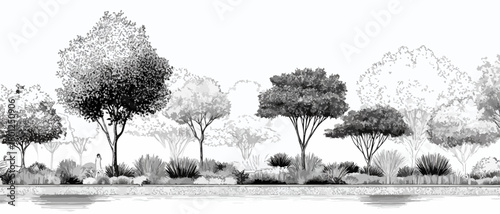 Ilustración vectorial en blanco y negro de un paisaje con árboles, arbustos y vegetación, ideal para diseño.