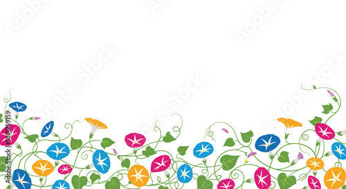 A vibrant border of colorful morning glory flowers with green vines and leaves.