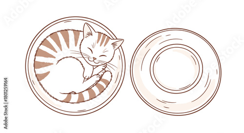 A cute tabby kitten sleeping soundly curled up in a round white bowl next to an empty bowl. The kitten has stripes and closed eyes.
