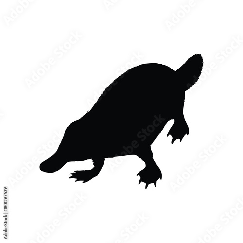 Solid black platypus silhouette vector illustration