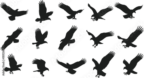 Eagle silhouette collection, flying and landing poses, black bird shapes, wildlife vector, isolated on white background