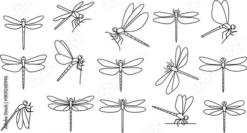 Dragonfly, insect, wings, nature, flight, sketch, lineart, blue, minimalist, elegant, pattern, grid, symmetry, pose, design, collection, artistic, entomology