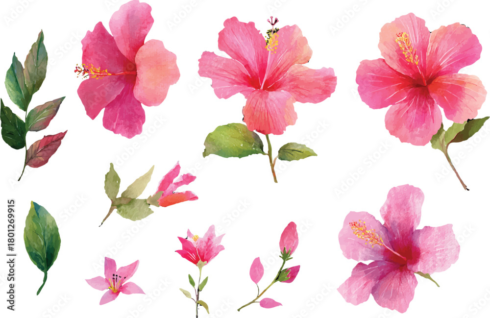 Fototapeta premium set of pink flowers isolated