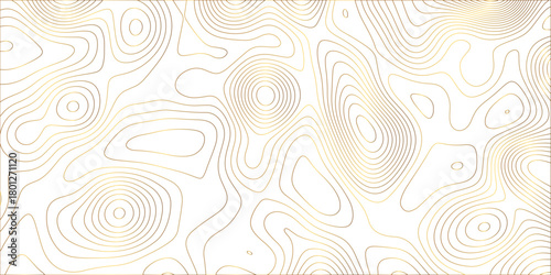 Abstract white background with golden gradient Topographic line map and shadows . Contour elevation topographic and textured Background Modern design White background with topographic wavy pattern.	