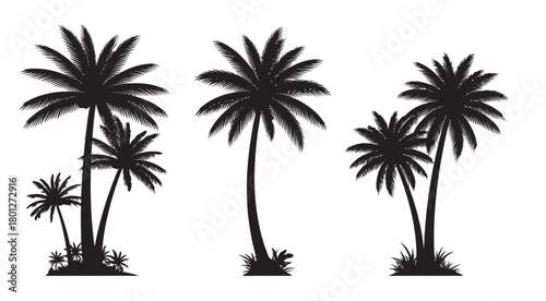 Silhouettes of three distinct palm tree clusters against a white background representing tropical nature