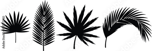 Collection of five distinct black palm frond silhouettes with varied textures and shapes on a white background