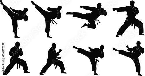 Martial arts silhouette, karate pose, taekwondo kick, black belt action, combat stance, discipline, strength, agility, training, motion, traditional uniform, self-defense, dynamic movement