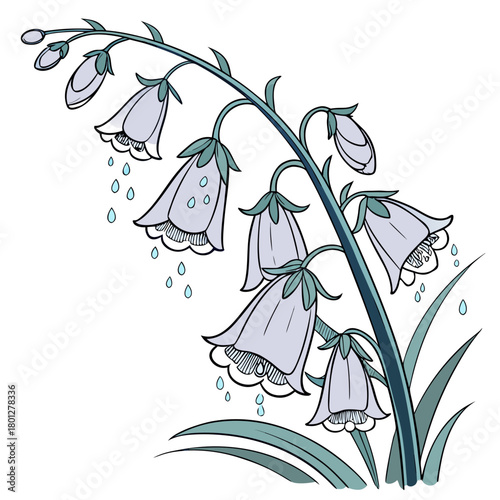 Delicate bluebell flowers with falling raindrops in a charming illustration style