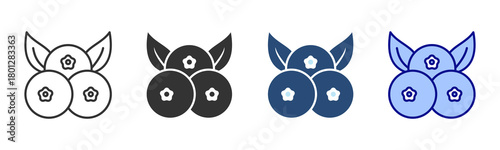 Blueberry Icon Set. Designed In Multi Style