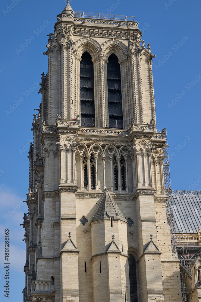 Fototapeta premium Close-up view of the south tower of Notre Dame Cathedral in Paris, France, showcasing Gothic architecture and stone details.