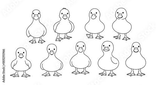 Collection of ten adorable baby duckling outline drawings in various cute poses perfect for children's illustrations and animal themes.