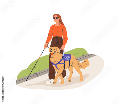 Service dog guiding blind person outside. Canine breed, golden retriever helping woman with disability, blindness, walking in glasses with stick. Flat vector illustration isolated on white background