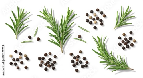 Fresh Rosemary Sprigs and Peppercorns on White Background, Herb, Spice, Black peppercorns