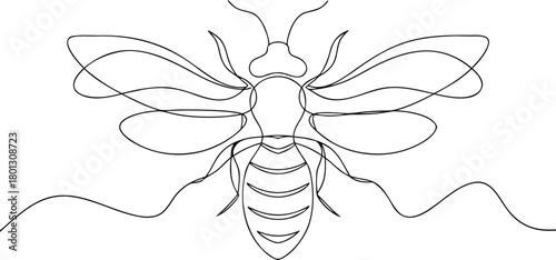Single line drawing of a bee with wings spread insect