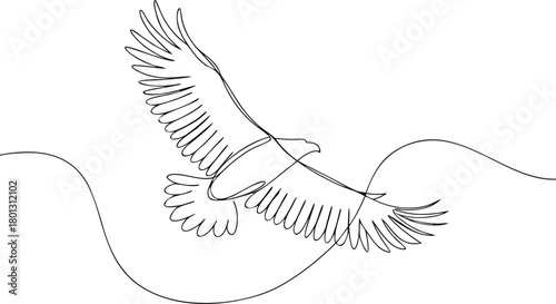 Single line drawing of a soaring eagle bird flight