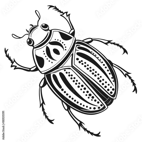 Detailed scarab beetle featuring intricate patterns and spiky legs contrasts against a white backdrop