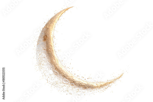 Realistic  Moon on White Background