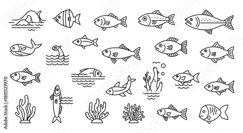 Fish line art vector illustration sea life drawing collection