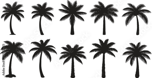 Collection of silhouette palm trees isolated on white background for tropical design elements