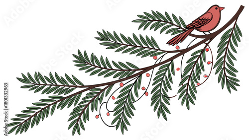 Cardinal bird on evergreen branch with red berries vector illustration winter holiday design element 100char