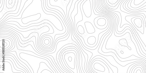 Abstract white and black contour line pattern, resembling a topographic map. The overall style should be minimalistic, modern, and artistic. wavy topographic map and curved line background.