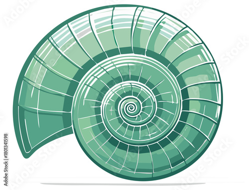 Stylized illustration of a green nautilus shell with spiral and geometric lines.