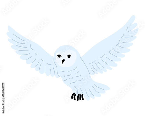 Snowy owl soaring gracefully in mid-flight with outstretched wings against a simple background