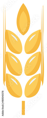 Yellow Wheat Grain Illustration Isolated