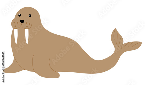 Walrus in flat style on white background.