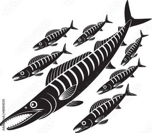Stylized barracuda large fish and seven small fish with details graphic vector illustration set design