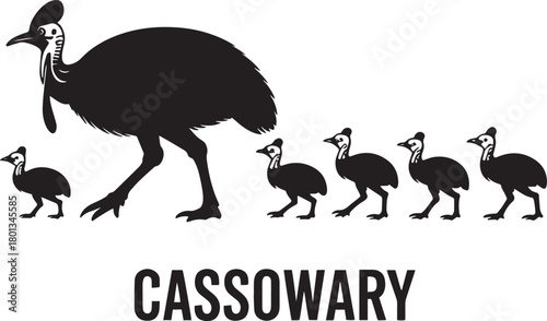 Black and white silhouette of large cassowary bird with several small chicks on transparent background