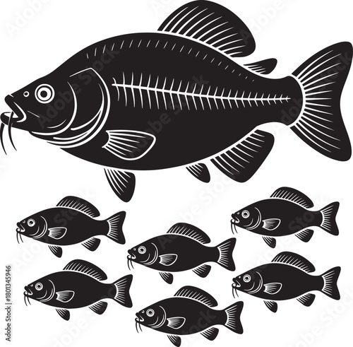 Black silhouette of carp fish with small school of fry on transparent background