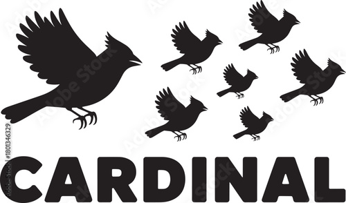 Cardinal bird silhouette vector illustration with group of small flying birds and typography
